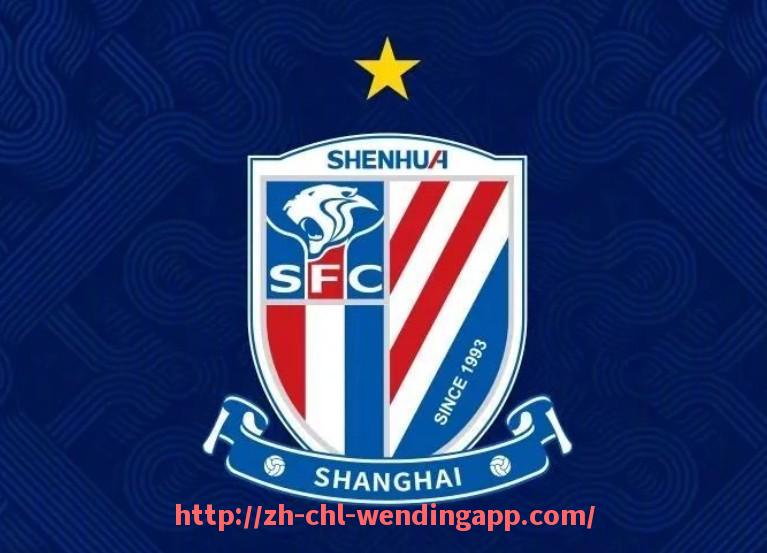 问鼎娱乐官网-世俱杯单场被侵犯最多的球员对抗表现与对方战术目标分析