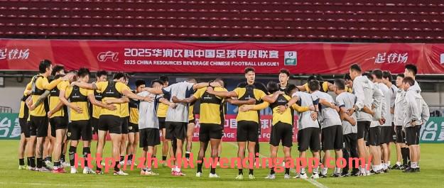 问鼎娱乐官网-德甲球队薪资帽制度与球员工资分布