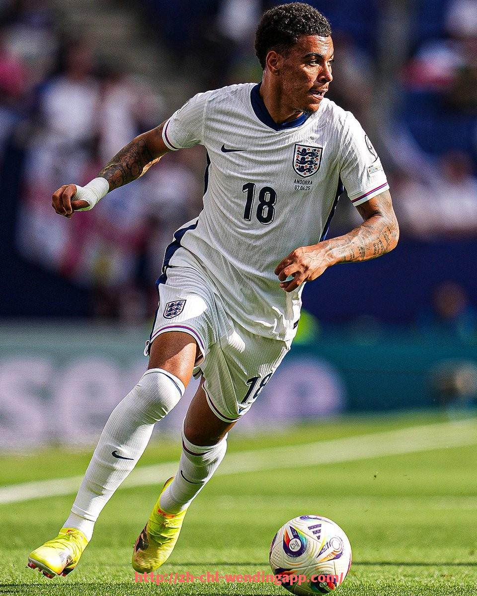 问鼎娱乐官网-2025年世俱杯赛程安排及官方更新信息大全